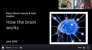 IMG_cerebro_FP
